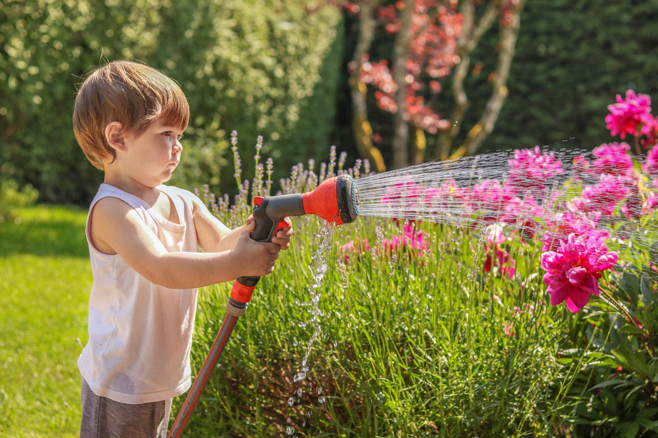 Watering flowers. Садовник поливает. Поливает цветы из шланга. Пионы полив. Полив сада дети цветок.